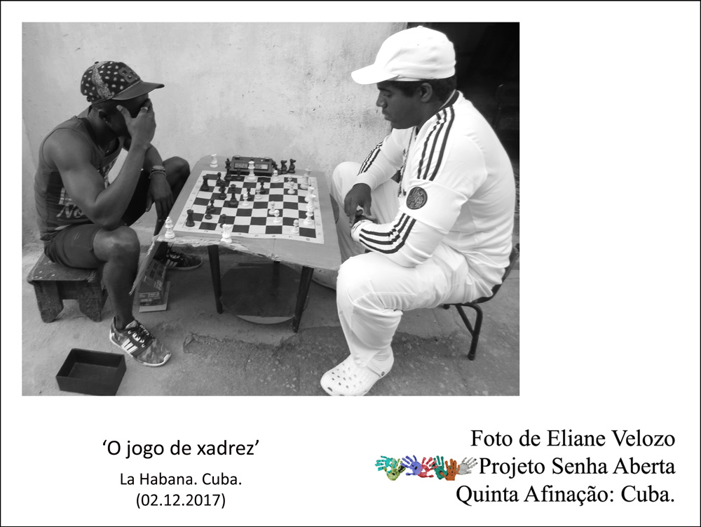 Aniversário tema jogo de xadrez  Torta ajedrez, Fiesta de animales,  Cumpleaños